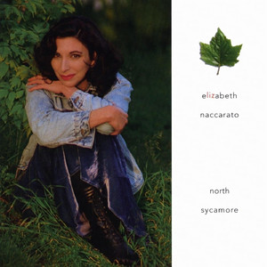 绿帽社入口网站在线
